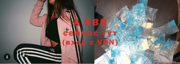 молекула духа Вязьма