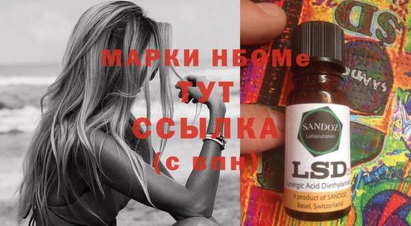 стаф Россошь