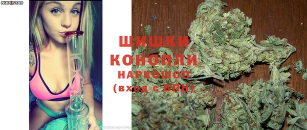 молекула духа Вязьма