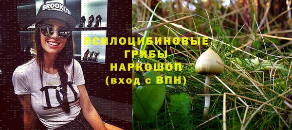 молекула духа Вязьма