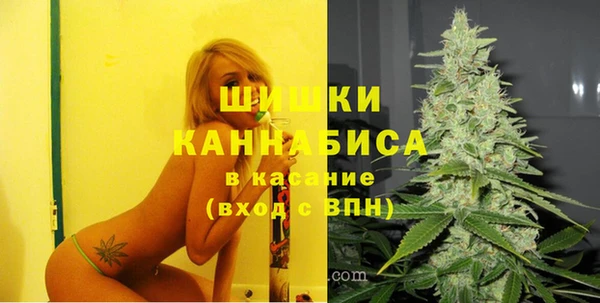 бошки Вяземский
