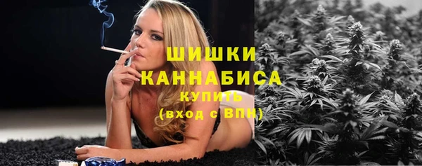 молекула духа Вязьма