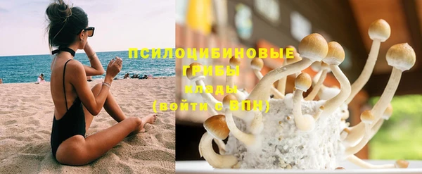 бошки Вяземский